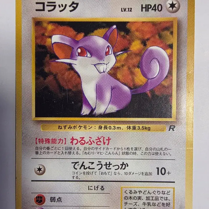 [BUNJANG] Pokemon Card 1996 Rattata (First Edition) / 포켓몬카드 1996 초기 꼬렛