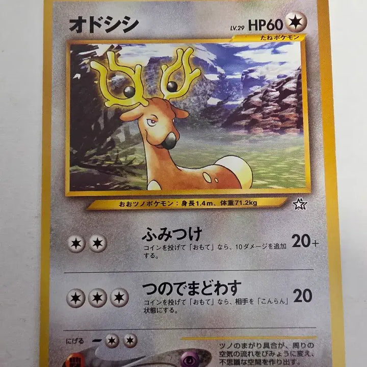 [BUNJANG] Pokemon 1996 Early Edition Trading Card / 포켓몬카드 1996 초기