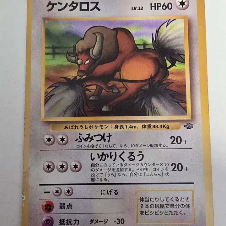 [BUNJANG] Pokemon Card 1996 Early Edition / 포켓몬카드 1996 초기