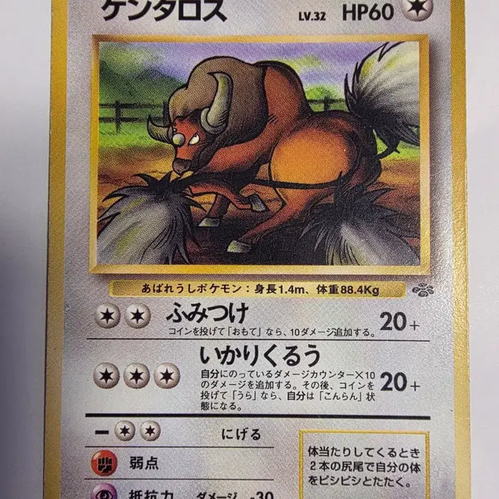 [BUNJANG] Pokemon Card 1996 Early Edition / 포켓몬카드 1996 초기 켄타로스