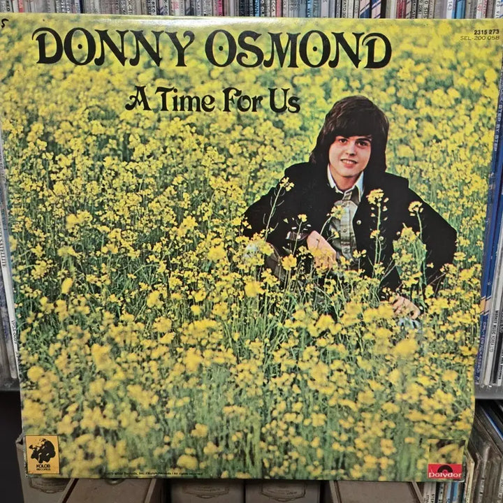 [BUNJANG] Donny Osmond A Time For Us LP Vinyl / 도니 오스몬드 A Time For Us LP판 민트급
