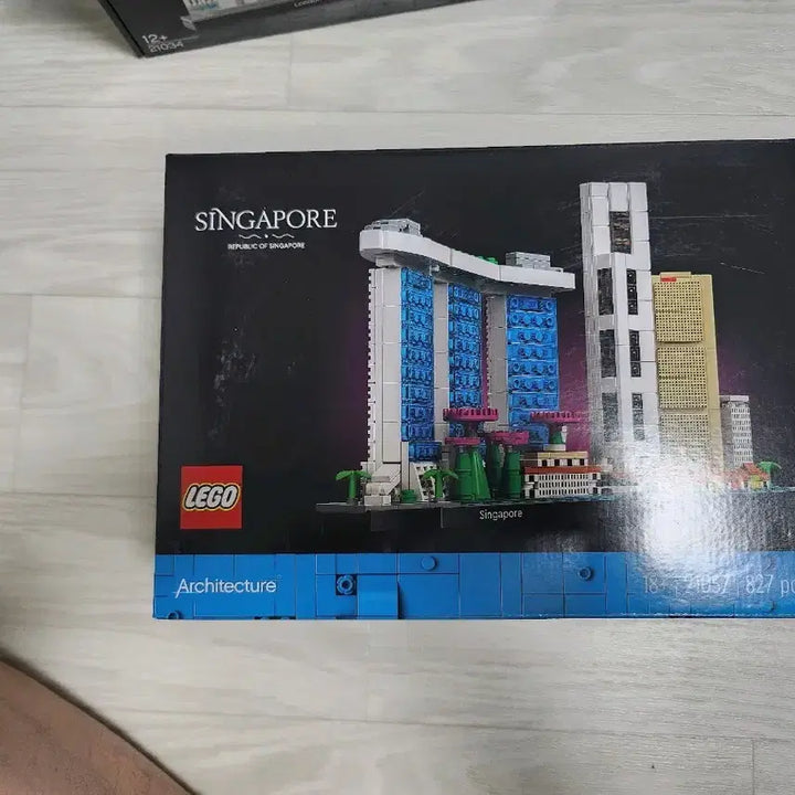 [BUNJANG] LEGO Architecture Singapore 21057 / 레고 아키텍쳐 싱가포르 21057