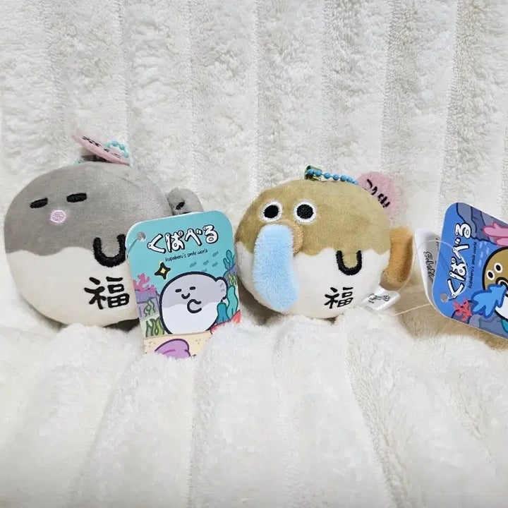 [BUNJANG] Kupa Veru Pufferfish Plush Set / [정품] 쿠파베루 어짜고... 걍 복어 인형 복들어갑니다잉~ (세트)