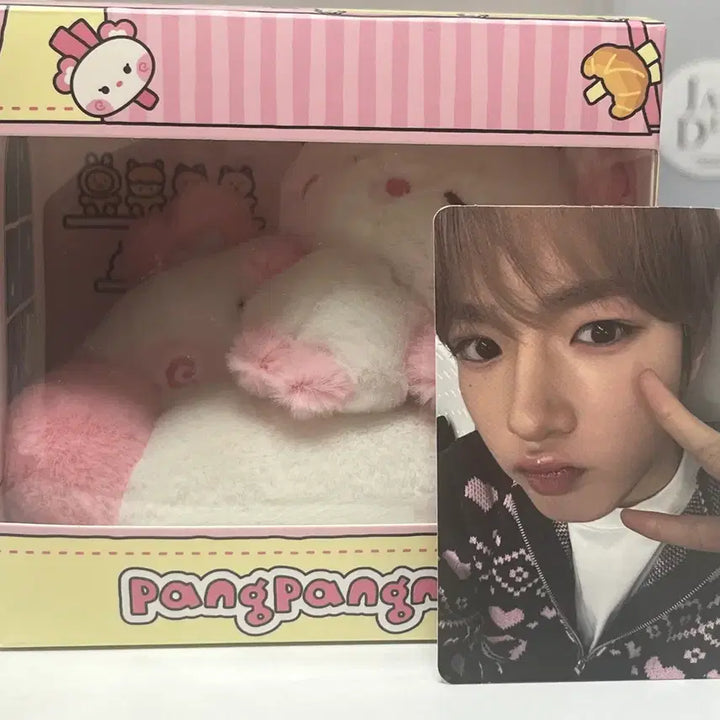 [BUNJANG] Wishnini Pangnini Sakuya Pangy Room Plush Set / 원가 이하) 위시니니 팡이니니 사쿠야 팡이 룸 플러시 세트 양도