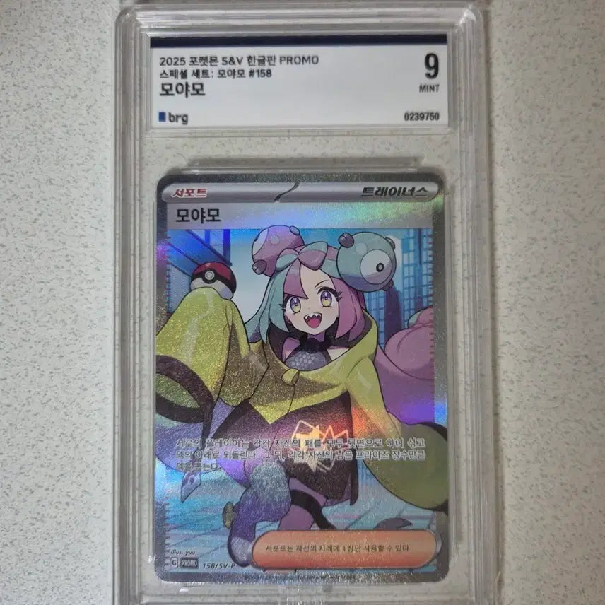 [BUNJANG] Pokemon Card Special Set Moya Mo Promo BRG9 / 포켓몬카드 한판 스페셜세트 모야모 프로모 brg9