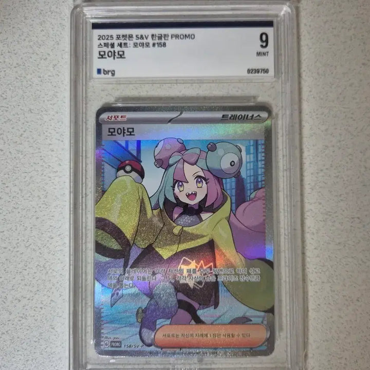 [BUNJANG] Pokemon Card Special Set Moya Mo Promo BRG9 / 포켓몬카드 한판 스페셜세트 모야모 프로모 brg9