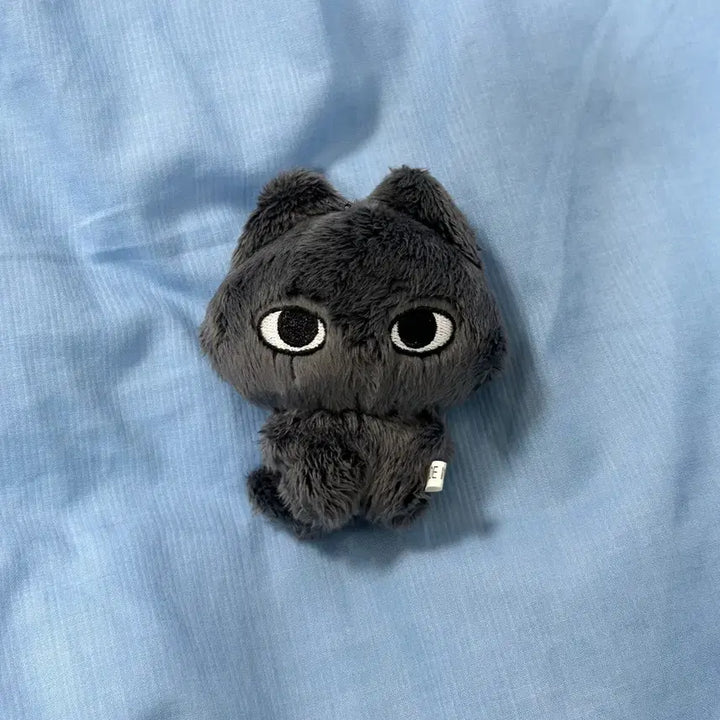 [BUNJANG] NCT WISH Riku Nya-ku Plush / 엔시티위시 리쿠 냥쿠 인형