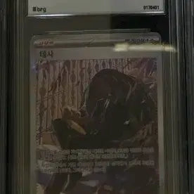 [BUNJANG] Pokemon S&amp;V Ruler of the Black Flame 