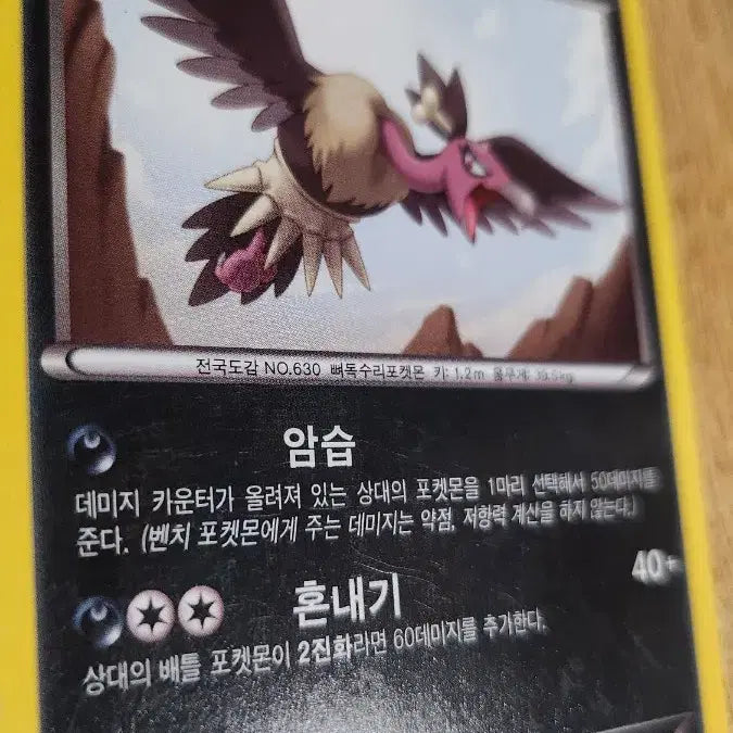 [BUNJANG] Pokemon Card - Quilava Evolution / 버랜지나 1진화 포켓몬 카드