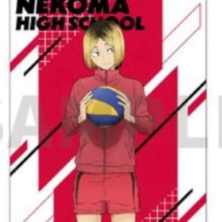 [BUNJANG] Haikyuu!! 10th Anniversary Kozume Kenma Tapestry / 미개봉) 하이큐 10주년 기념전 코즈메 켄마 태피스트리 태피 양도