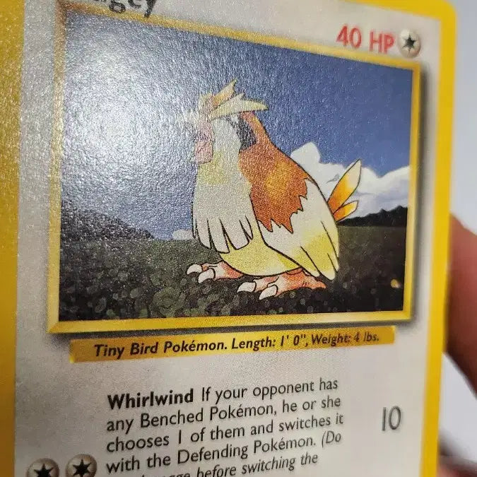 [BUNJANG] Pokemon TCG Base Set Pidgey English Version / 포켓몬 카드 구구  베이스 영문판