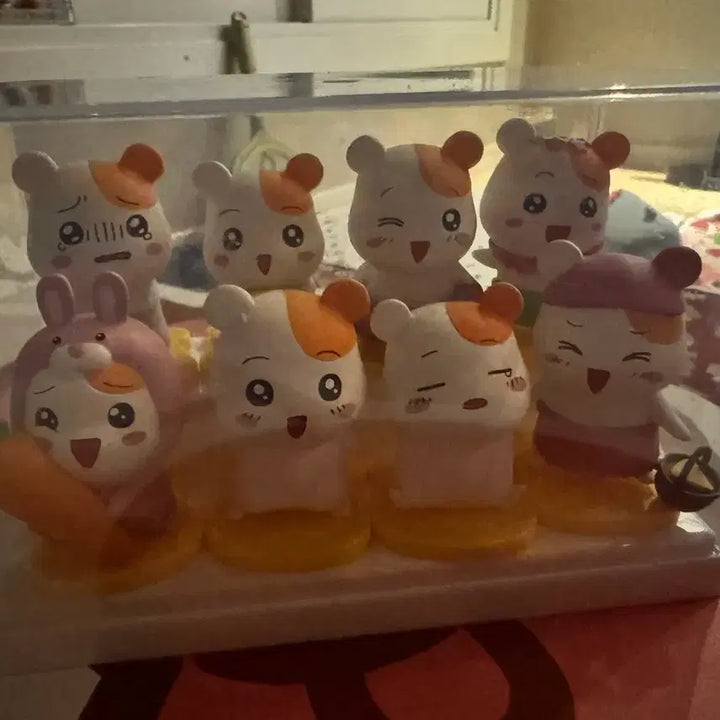 [BUNJANG] Ebichu Figure Display Case Bundle Set / 에비츄 피규어 장식장 일괄