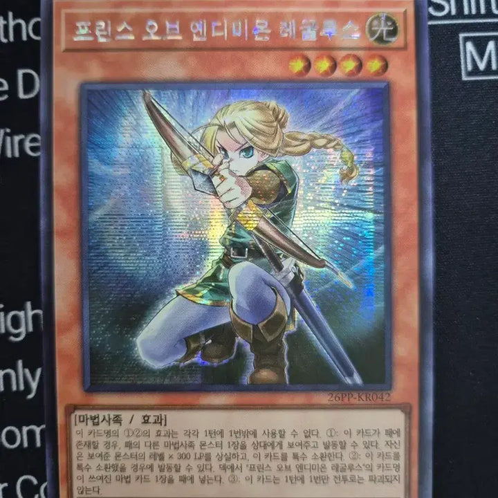 [BUNJANG] Yu-Gi-Oh! Endymion Regulus Secret Rare / 유희왕 엔디미온 레굴루스 시크