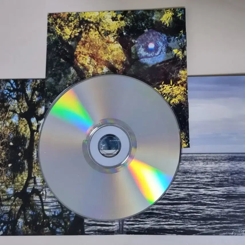 [BUNJANG] Corinne Bailey Rae The Sea (Unsealed CD) / 코린 배일리 래 The sea (개봉 CD)