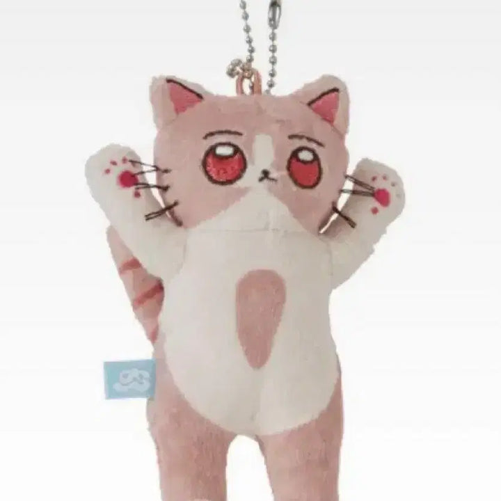 [BUNJANG] Zutto Mayoi Ginger Plush / 즛토마요 생강 누이