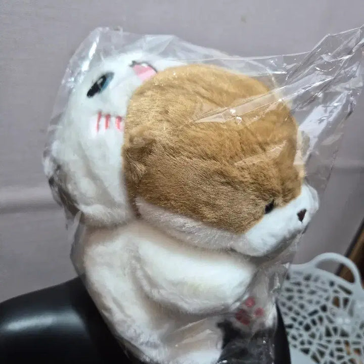 [BUNJANG] Medium Rabbit Hat Plush Doll / 새상품) 중형 토끼모자쓴 인형