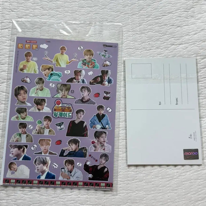 [BUNJANG] Park Jihoon Wingdace Birthday MD Sticker Photo Set Postcard Sosimi Photocard / 박지훈 윙케이드 생일 엠디 스티커 사진 세트 엽서 소심이 포카