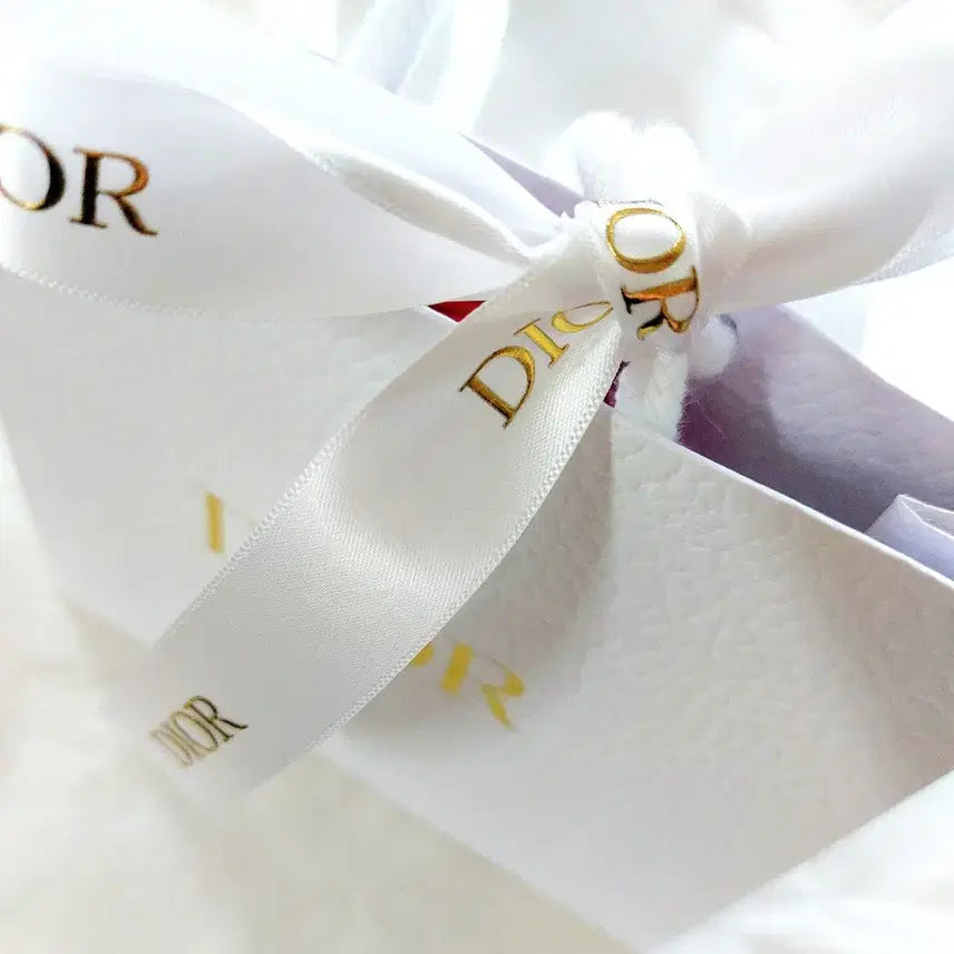 [BUNJANG] Dior Addict Lipstick Fashion Case Pink Bow Limited Edition / 쇼핑백선물포장)한정판)디올 어딕트 립스틱 패션케이스 핑크보우