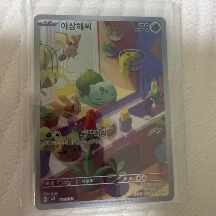 [BUNJANG] Pokemon Card Bulbasaur/Squirtle Special Edition / 포켓몬 카드 이상해씨/꼬부기 특일