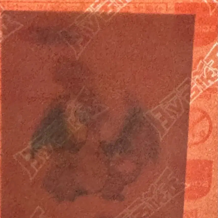 [BUNJANG] Pokemon Stickers (Sealed) Charizard + Squirtle + 2 / 포켓몬 띠부씰 (미개봉)리자몽+꼬부기 +2