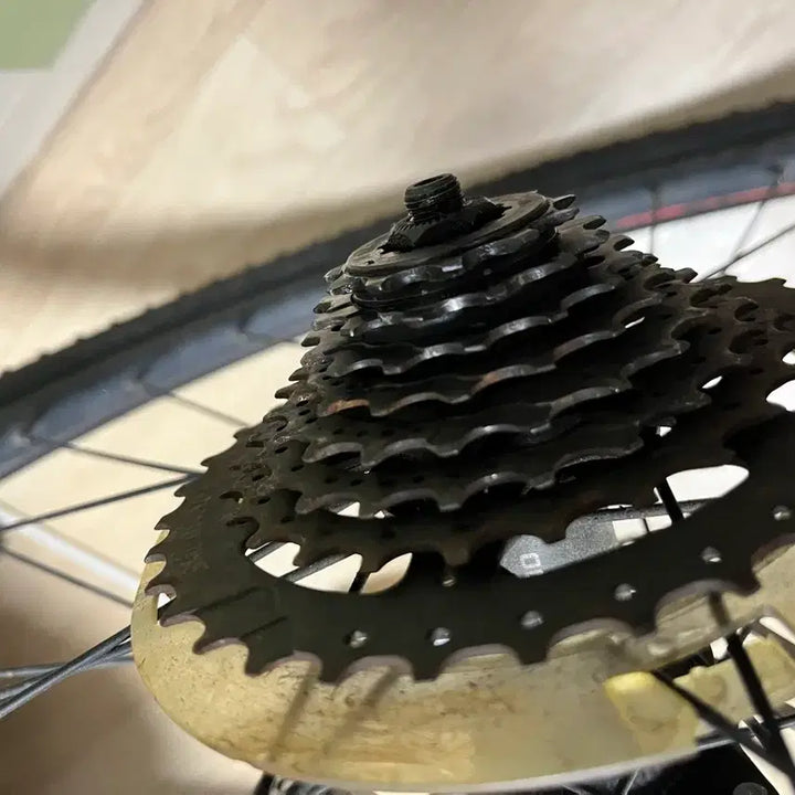 [BUNJANG] Campagnolo Calas 35 Cassette Sprocket / 칼라스35