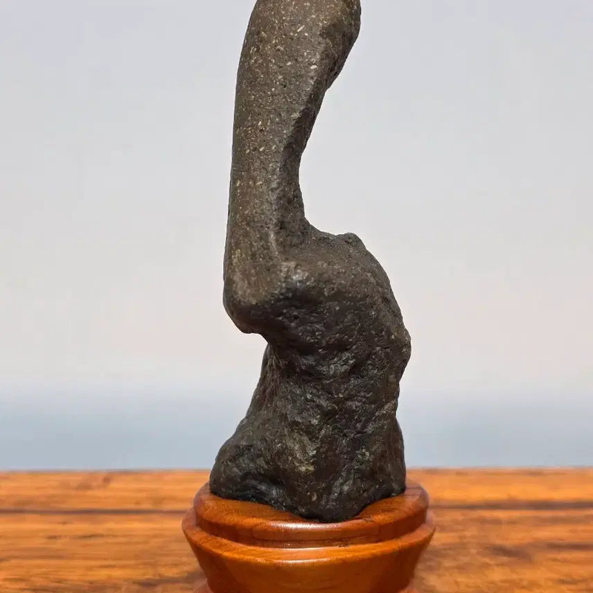 [BUNJANG] Unique Goesan Scholar Stone / 26062009 독특한 괴산 수석 팝니다