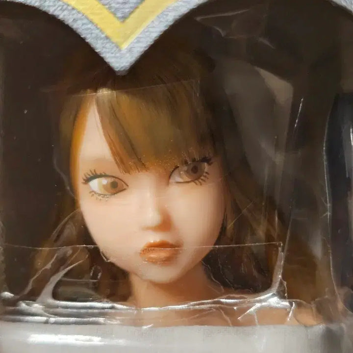 [BUNJANG] Steampunk Momoko 1st Batch Sealed / 스팀펑크 모모꼬 1차분