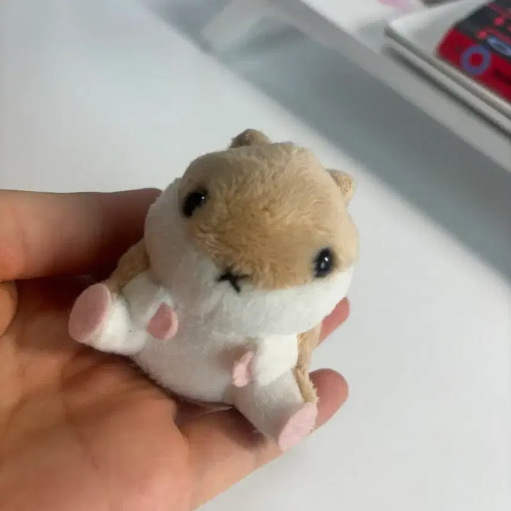 [BUNJANG] Hamster Plush Toy Accessories / 햄스터 인형 소품 뵤
