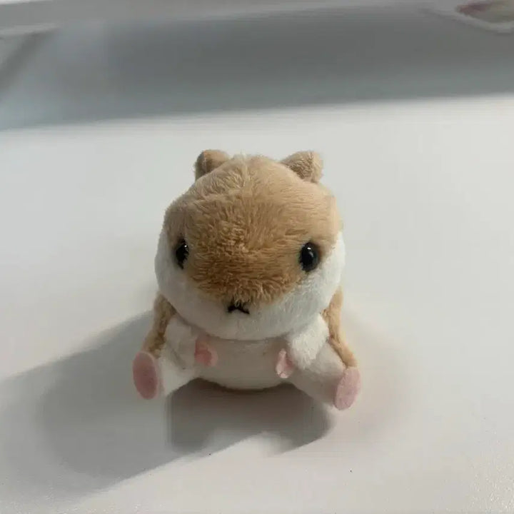 [BUNJANG] Hamster Plush Toy Accessories / 햄스터 인형 소품