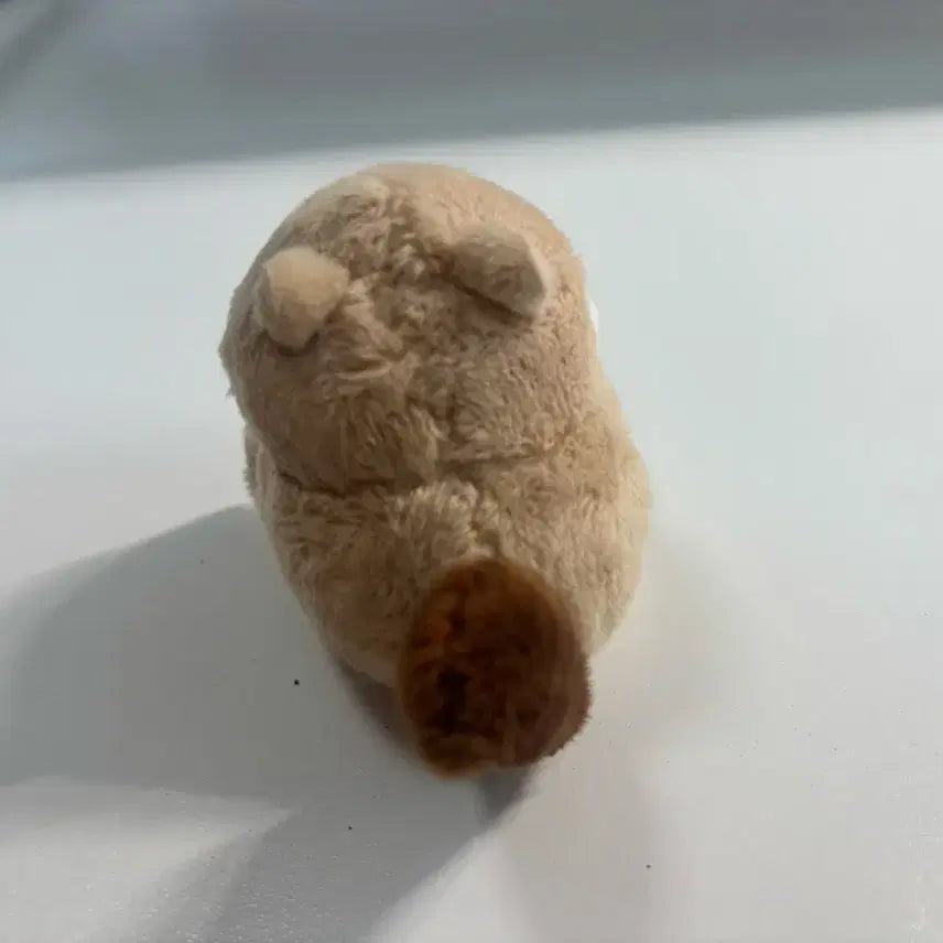 [BUNJANG] Hamster Plush Toy Accessories / 햄스터 인형 소품