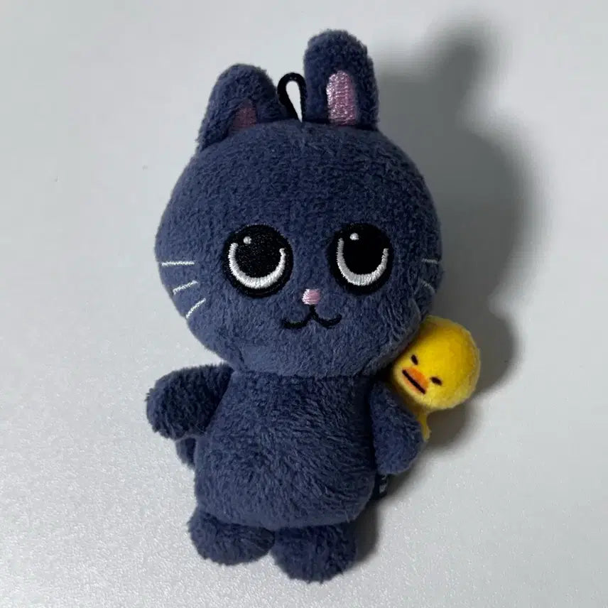 [BUNJANG] RIIZE Wonbin Lyrical Friends Riraz Baby Tonnyangdeok 8cm Plush / 라이즈 원빈 리틀라이즈 리라즈 베이비 토냥덕 8cm 양도