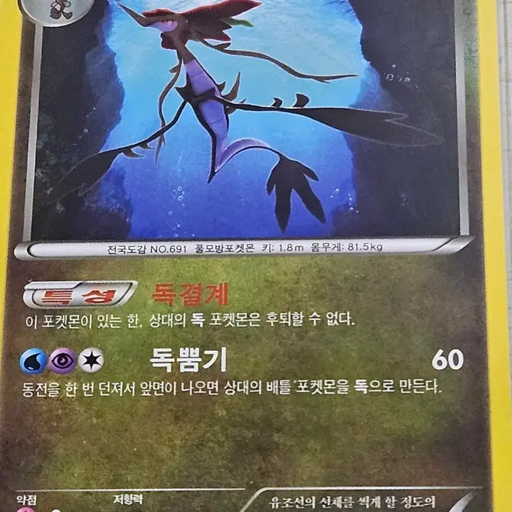 [BUNJANG] Pokemon Card Dragapult / 포켓몬카드 드래캄