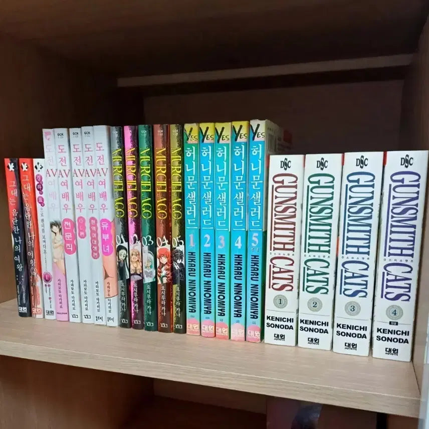 [BUNJANG] Bundle Set Comic Books (22 Volumes) / 만화책 일괄