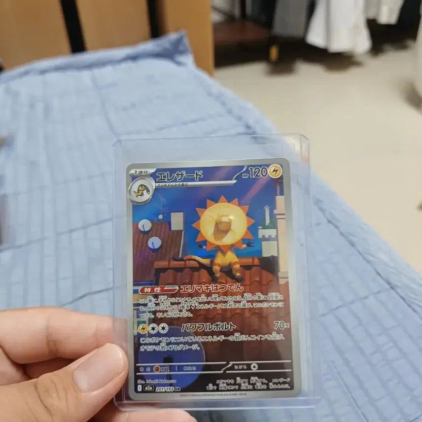 [SOLD OUT] 일판 일레도리자드 ar