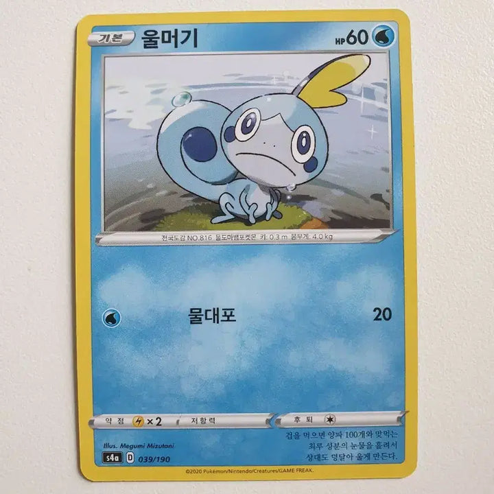 [SOLD OUT] 울머기 포켓몬카드