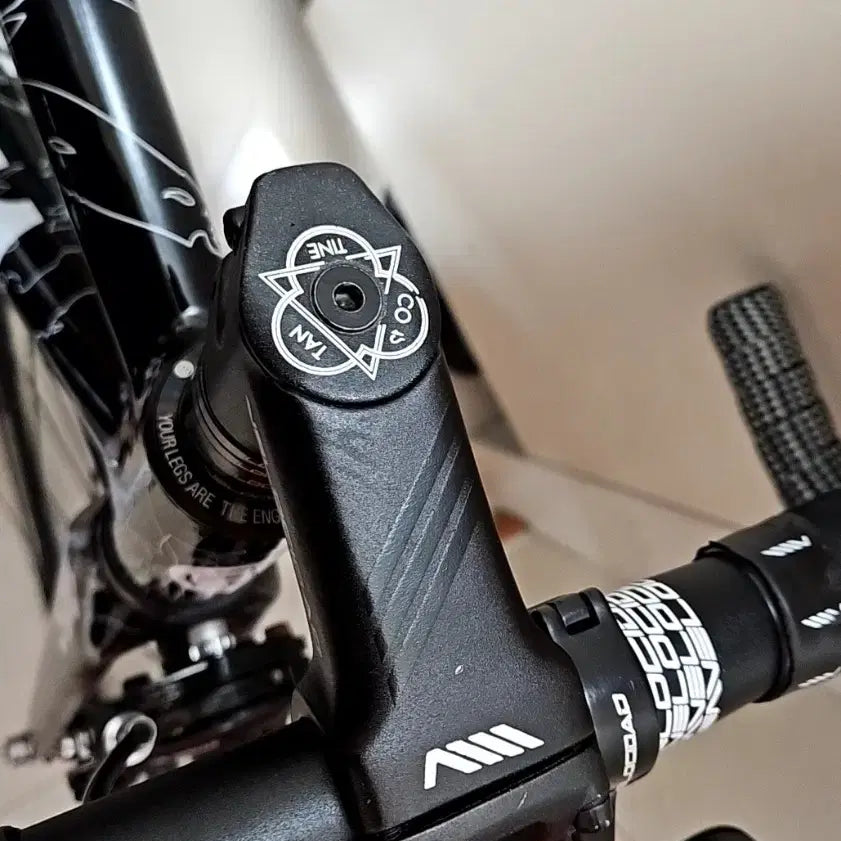 [BUNJANG] Engine11 Team Edition Fixie Bicycle (M Size) / 엔진11 팀에디션 급처합니다 M사이즈 1대주(판매만)