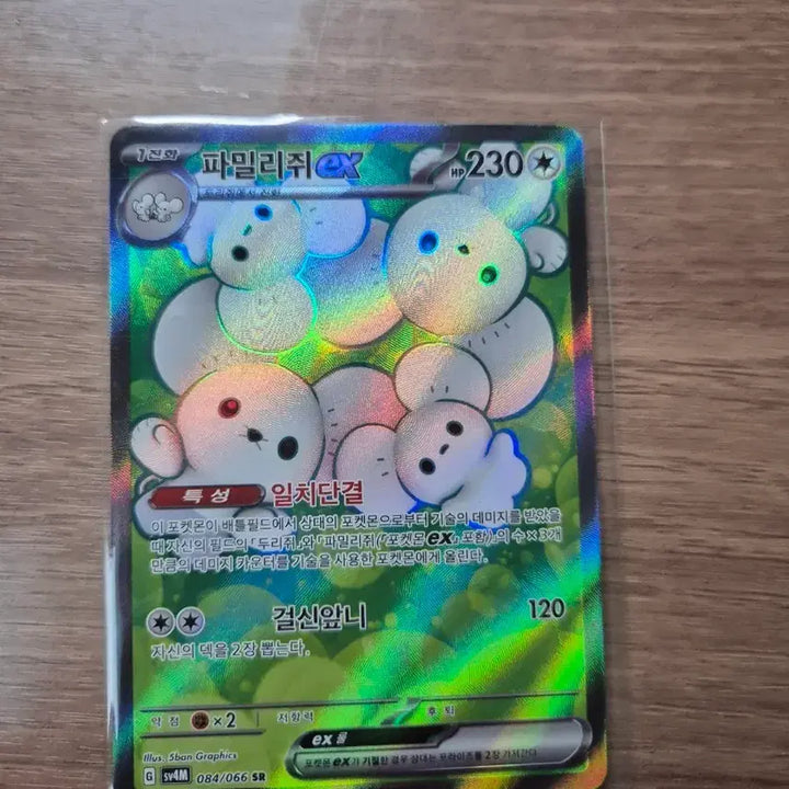 [SOLD OUT] 파밀리쥐 EX sr