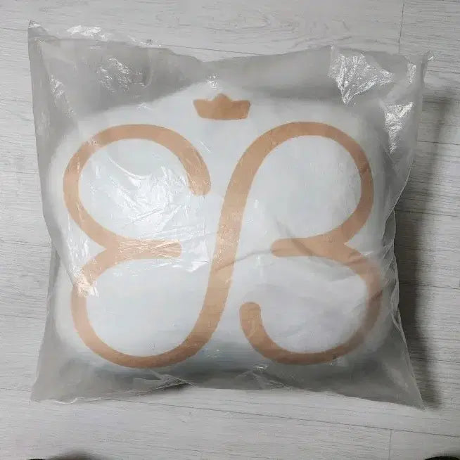 [BUNJANG] Park Eun-bin Blank Cushion (Sealed) / 박은빈 빈칸 쿠션
