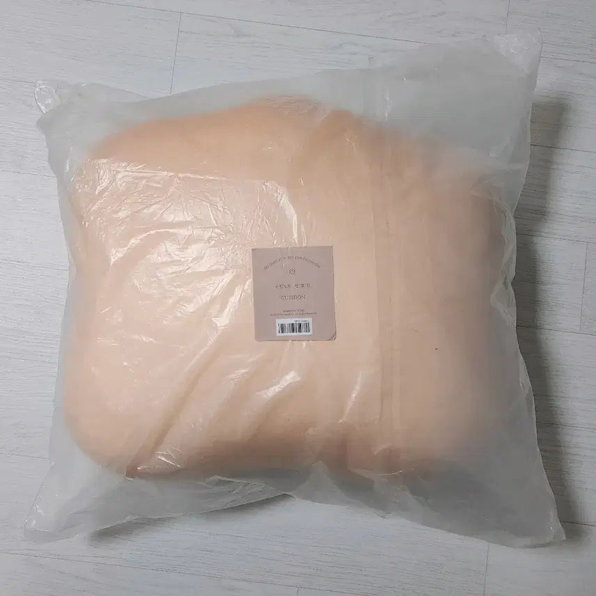 [BUNJANG] Park Eun-bin Blank Cushion (Sealed) / 박은빈 빈칸 쿠션