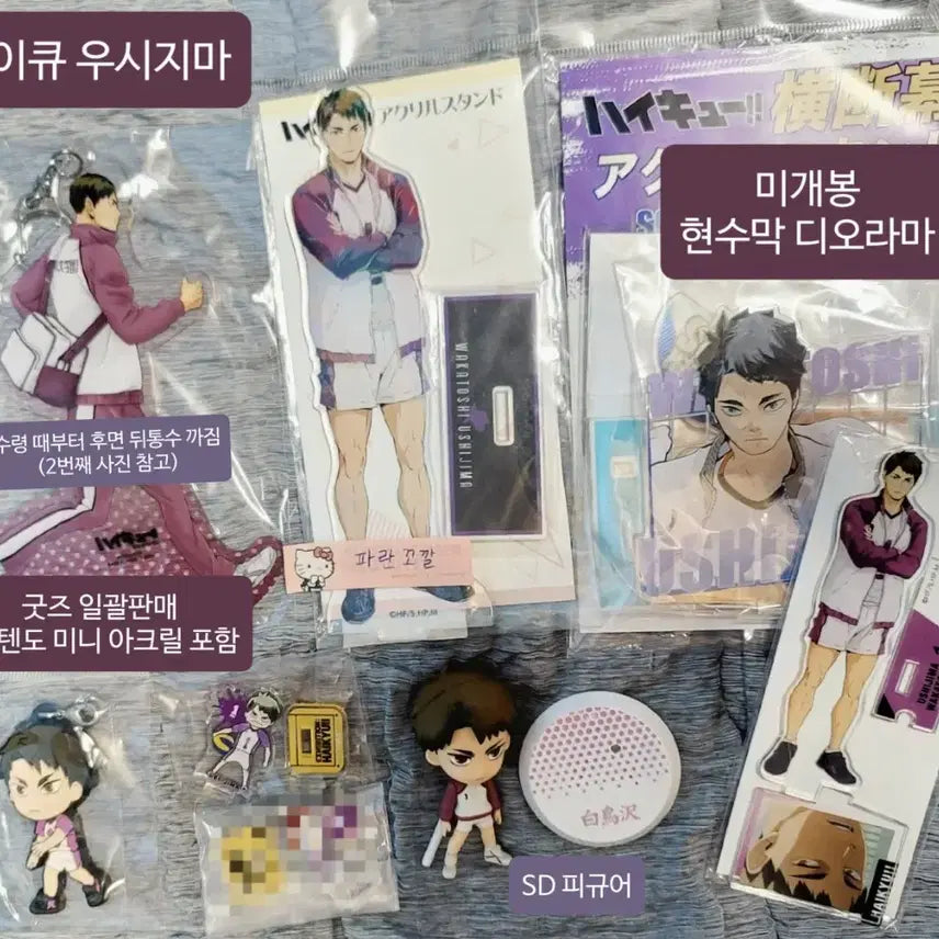 [BUNJANG] Haikyuu!! Wakatoshi Ushijima Acrylic Banner Diorama Figure Set / [6/22일까지] 하이큐 우시지마 와카토시 아크릴 현수막 디오라마 피규어