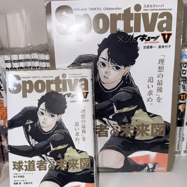 [BUNJANG] Haikyu!! Sakusa Kiyoomi Visual Board / 하이큐 스포티바 비주얼 보드 포함 사쿠사