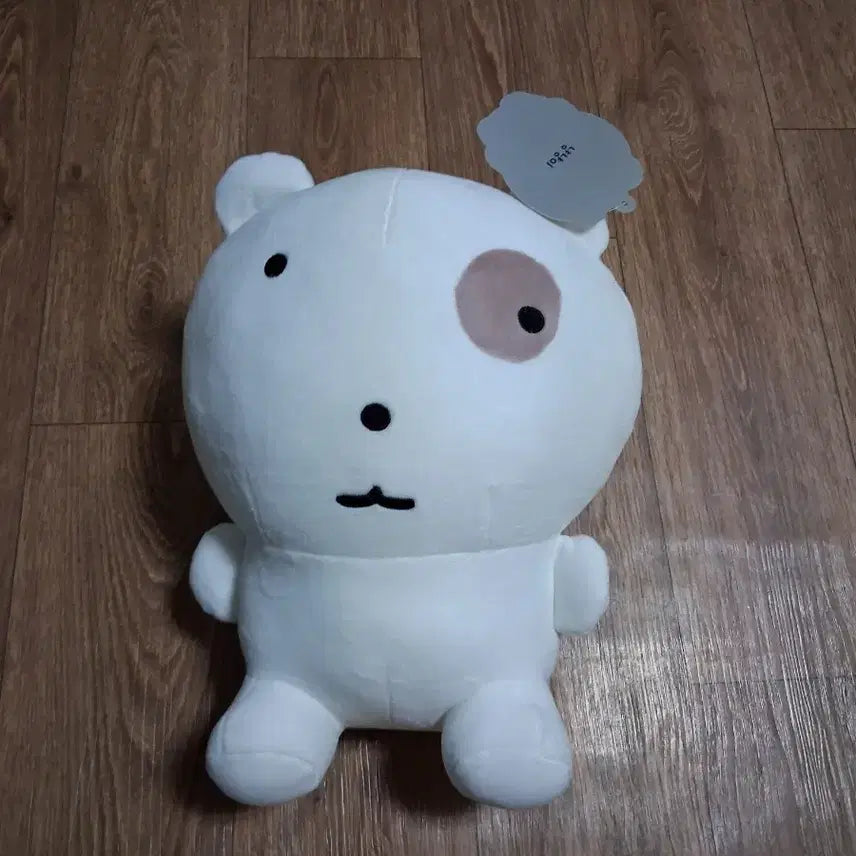 [BUNJANG] GANADI Nyan Nyan Plush Doll / 가나디 눈먼냥이 봉제인형(무료배송)