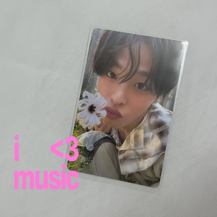 [BUNJANG] NCT WISH Riku Vixx Mini Photocard / 빅스미니 포함 / 엔시티위시 리쿠 빅스미니 포카 양도