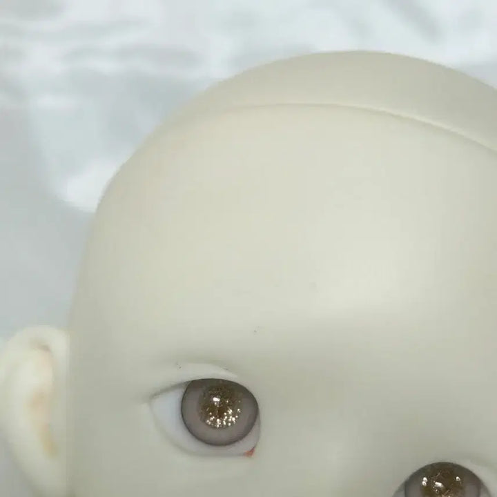 [BUNJANG] Napidoll Carol Ball-Jointed Doll Head / 마지막가격)나피돌 캐롤 헤드 구체관절인형 구관