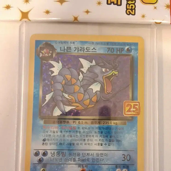 [BUNJANG] Pokemon 25th Anniversary Card Pack - Evil Gyarados / 포켓몬 카드 25주년  카드팩 나쁜 갸라도스