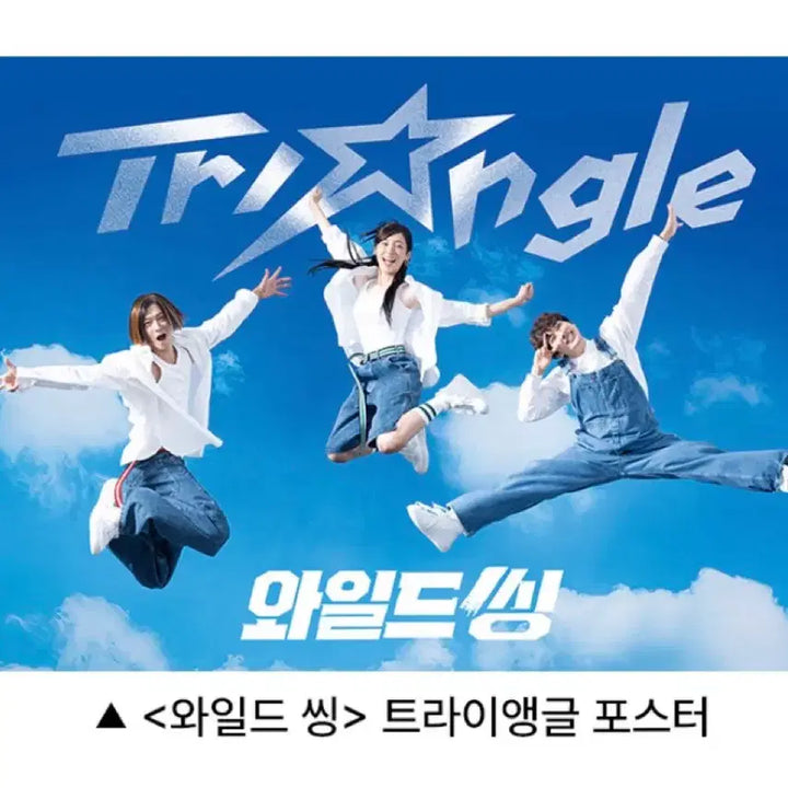 [BUNJANG] Wild Thing Triangle Poster / 와일드씽 트라이앵글 포스터