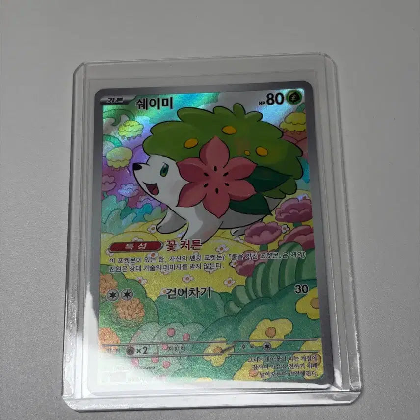 [BUNJANG] Pokemon Card Shaymin / 포켓몬 카드 쉐이미