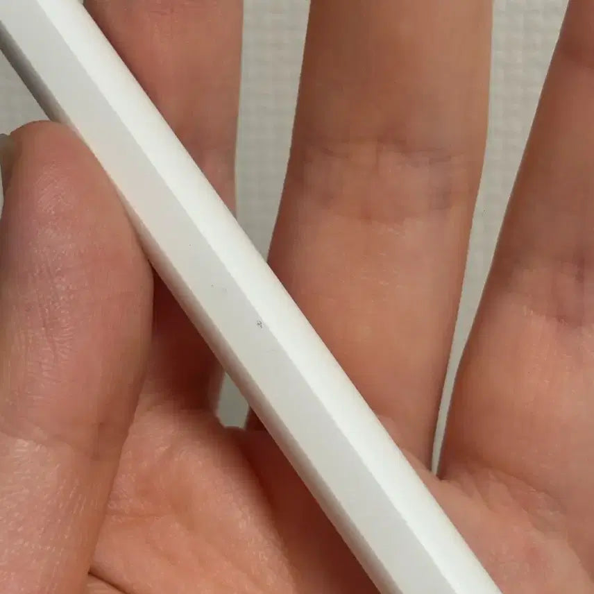 [BUNJANG] Apple Pencil USB-C / 애플 펜슬 usb-c 타입