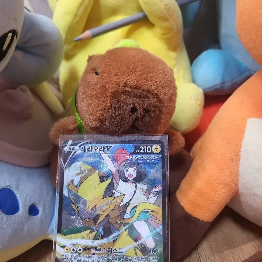 [BUNJANG] Zeraora V CSR Card / 제라오라CSR