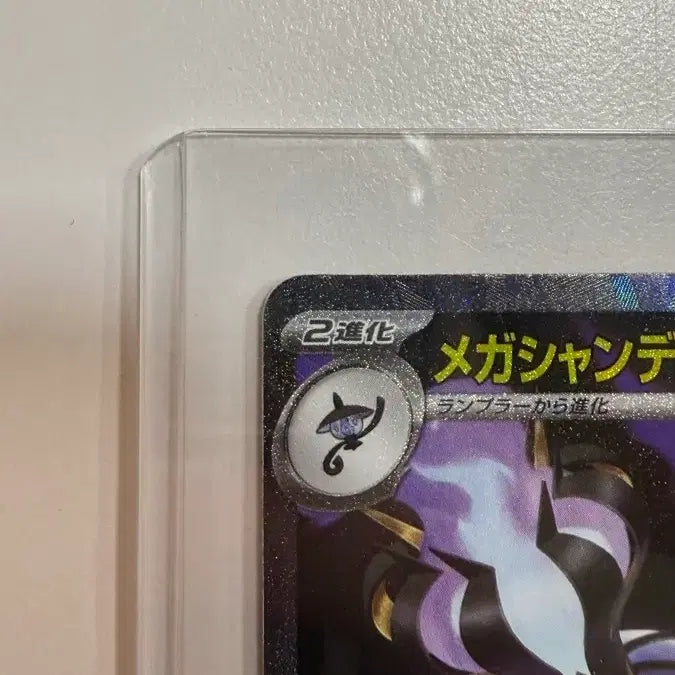 [BUNJANG] Chandela SAR Japanese Edition / 샹델라 SAR 일본판 판매